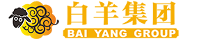廣西白羊網(wǎng)絡科技有限公司配套案例